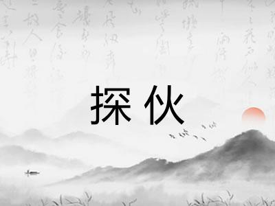 探伙
