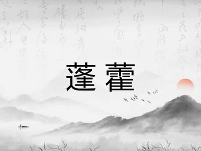 蓬藿