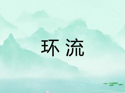 环流 环流