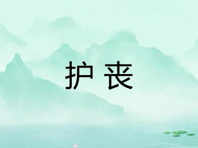 护丧