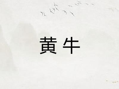 黄牛 黄牛