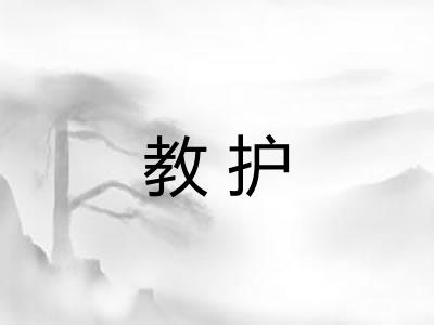 教护 教护