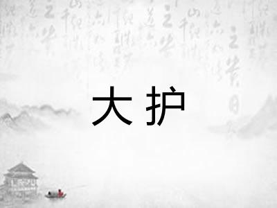 大护 大护