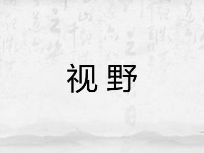 视野 视野