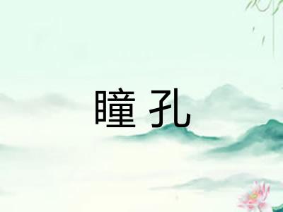 瞳孔