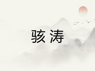 骇涛