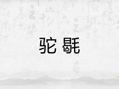 驼毼