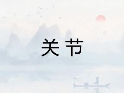 关节 关节