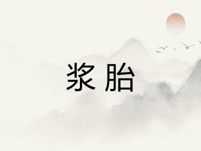 浆胎