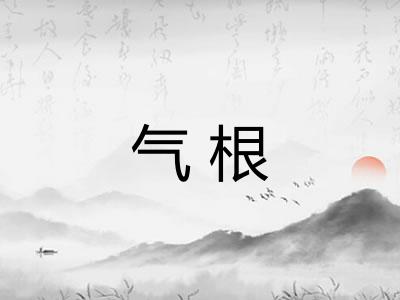 气根 气根