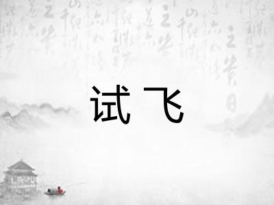 试飞 试飞