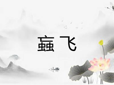 蝱飞 蝱飞