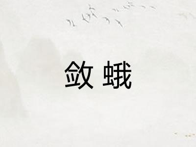 敛蛾