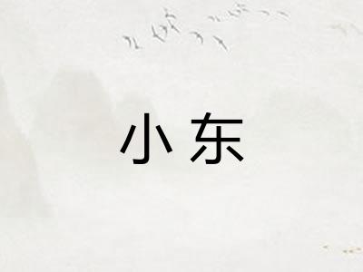 小东 小东