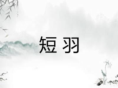 短羽 短羽
