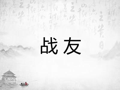 战友 战友