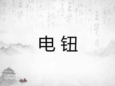 电钮 电钮