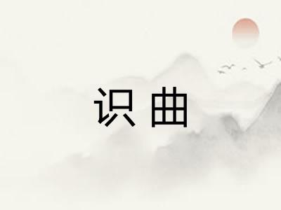 识曲 识曲
