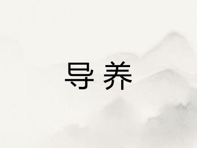 导养 导养