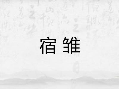 宿雏