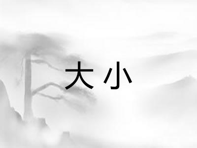 大小 大小