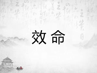 效命 效命