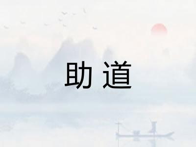 助道