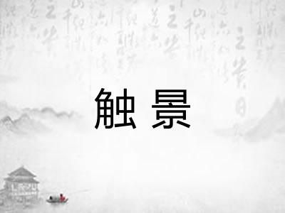 触景 触景