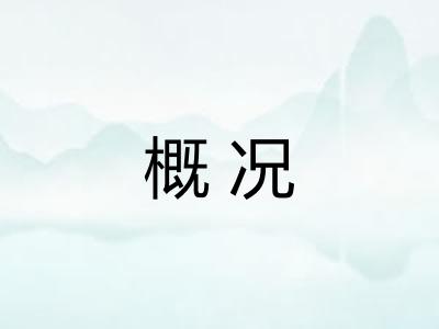 概况