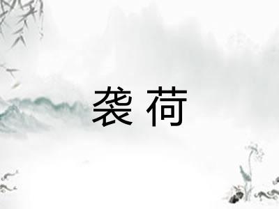 袭荷