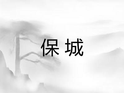 保城