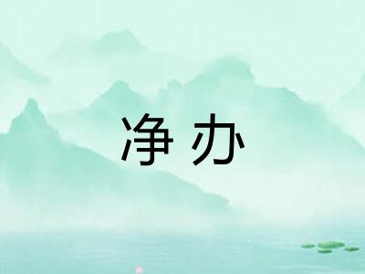 净办