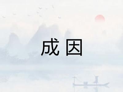 成因