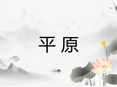平原 平原