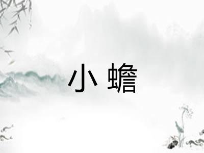 小蟾