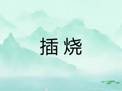 插烧