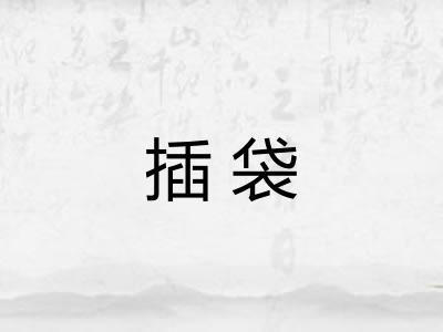 插袋 插袋