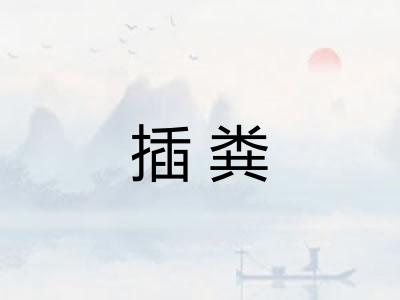 插粪