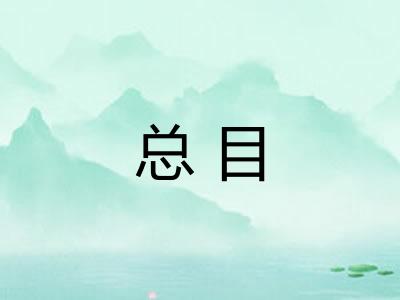 总目