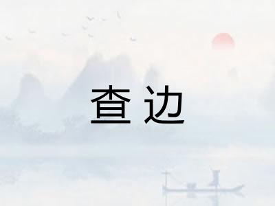 查边 查边
