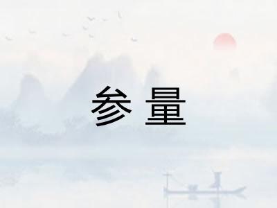 参量 参量