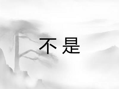 不是 不是