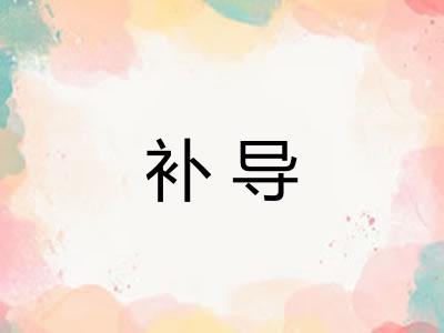 补导