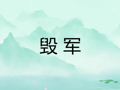 毁军