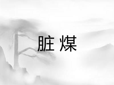 脏煤