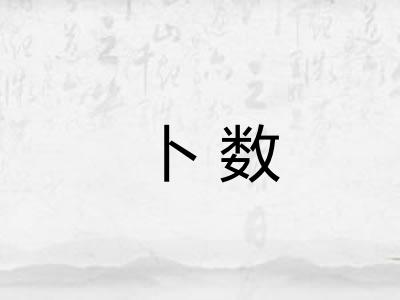 卜数