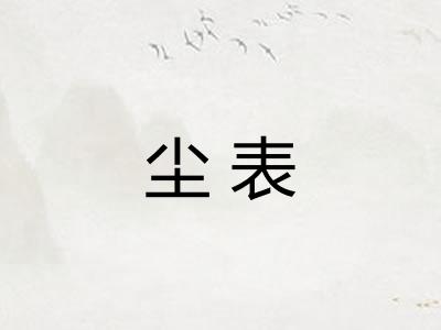 尘表