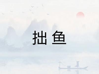 拙鱼