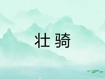 壮骑