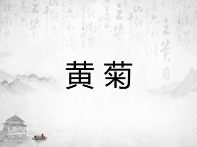 黄菊